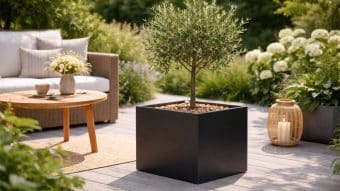 Doniczkowe drzewko oliwne w Donica aluminiowa Ivo Mobile stoi na drewnianym tarasie obok wiklinowej sofy, okrągłego drewnianego stołu z wazonem na kwiaty i lampionu na świece, otoczone bujną zielenią liści i kwitnącymi białymi kwiatami.