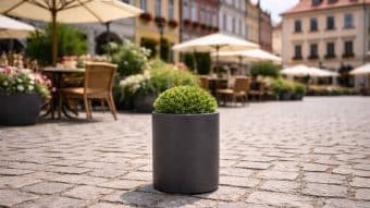 Okrągły zielony krzew w donicy aluminiowej Tiziano 2 stoi na brukowanym placu. W tle stoły na świeżym powietrzu z krzesłami i beżowymi parasolami otoczone doniczkami, z kolorowymi zabytkowymi budynkami pod słonecznym niebem.