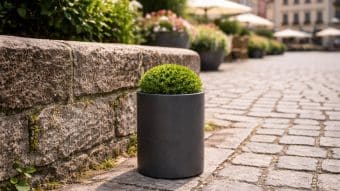 Mały, okrągły, zielony krzew Donica aluminiowa Tiziano 3 stoi na brukowanej ulicy przy kamiennym murze. W rozmytym tle widać więcej roślin doniczkowych, stoliki z parasolami i okoliczne budynki.