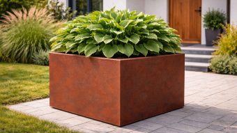 Donica ogrodowa-ze-stali-corten-Cubi-8z bujnymi zielonymi roślinami ustawiona przy wejściu do nowoczesnego domu