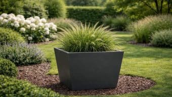 Donica aluminiowa Daniele wypełniona bujną trawą doda nowoczesnego akcentu każdej przestrzeni.