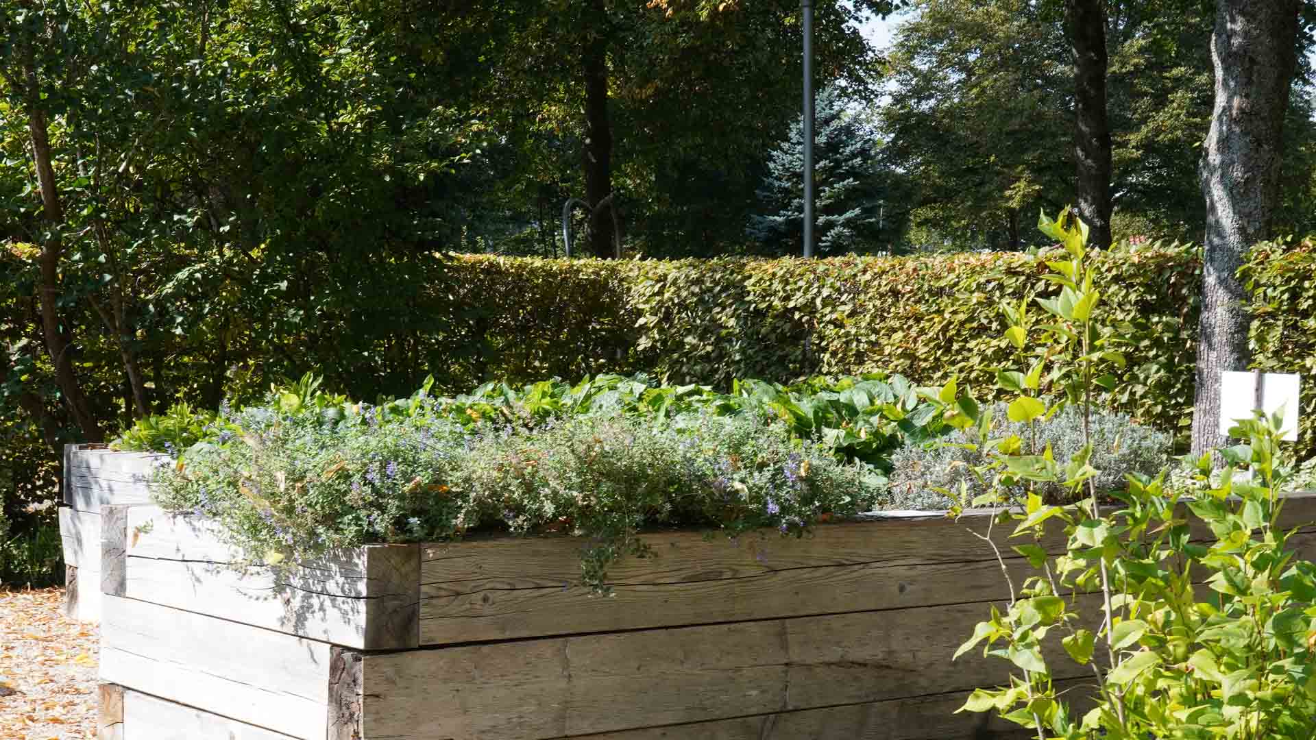 minimalistyczny ogrod