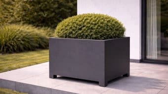 Starannie przycięty okrągły zielony krzew siedzi w Donica aluminiowa Apollo 10 Mobile przed wejściem do domu na szarym wyłożonym kafelkami patio obok białego budynku ze szklanymi drzwiami, z trawą i roślinami liściastymi w tle.