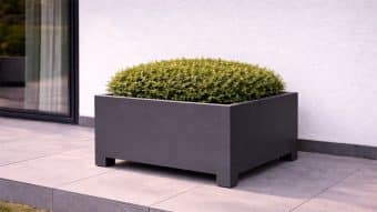 Donica aluminiowa Apollo 12 Mobile, nowoczesna kwadratowa donica na krótkich nóżkach, utrzymuje gęsty, przycięty krzew. Stoi na szarych kafelkach przy białej ścianie i dużym szklanym oknie częściowo widocznym po lewej stronie.