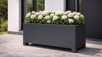 Donica aluminiowa Apollo 25 w kolorze ciemnoszarym, obsadzona kwitnącymi białymi hortensjami, stoi na jasnoszarych płytkach przed nowoczesnym budynkiem z białymi i ciemnymi ścianami i dużymi szklanymi oknami. W tle widać zielone liście.