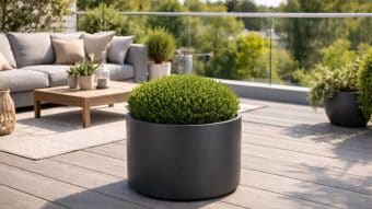 Donica aluminiowa Carla 1, ze starannie przyciętym zielonym krzewem, stoi na drewnianym tarasie. Za nim znajduje się szara sofa zewnętrzna, drewniany stolik kawowy, mniejsze rośliny i szklana balustrada z widokiem na drzewa liściaste.