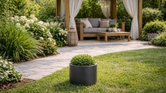 Mały okrągły krzew w donicy aluminiowej Carla 2 stoi na zielonym trawniku obok zakrzywionej kamiennej ścieżki. Za nim stoi drewniana altana z białymi zasłonami, wiklinową latarnią, przytulnymi siedzeniami i kwitnącą zielenią z białymi kwiatami.