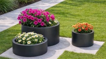 Zestaw trzech donic ogrodowych Donica aluminiowa Daria 2 o różnych wysokościach stoi na betonowym patio z zieloną trawą, wypełnionym jasnoróżowymi kwiatami, białymi stokrotkami oraz żywymi pomarańczowymi i żółtymi kwiatami.