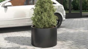 Aranżacja donicy Tito 3