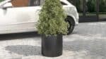Donica Gino 3