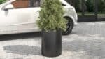 Donica Gino 2