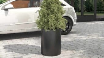Donica Gino 2