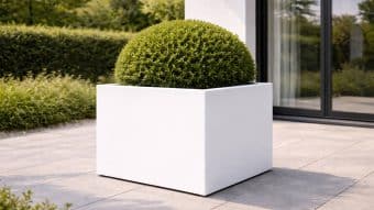 Starannie przycięty okrągły zielony krzew siedzi w dużej Donica ogrodowa Marco 12 donicy na wyłożonym kafelkami patio, z zielonymi krzewami, drzewami i częścią budynku ze szklanymi drzwiami i zasłoną w czystym, nowoczesnym otoczeniu.