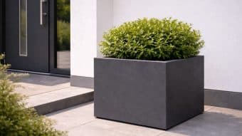 Bujny zielony krzew rośnie w matowej ciemnoszarej donicy Donica ogrodowa Marco 5 na kamiennym patio obok białego budynku z czarnymi drzwiami i oknami, tworząc minimalistyczną, nowoczesną scenę o czystych liniach.