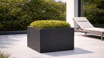 nowoczesna donica z czarną donicą