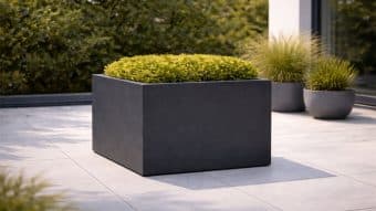 taras z roślinami w donicy