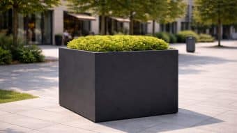 czarna donica z roślinami na rynku