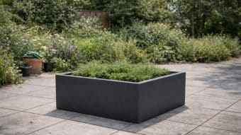 donica na partio z roślinami