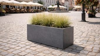 plac miejski z kwiatami i roślinami