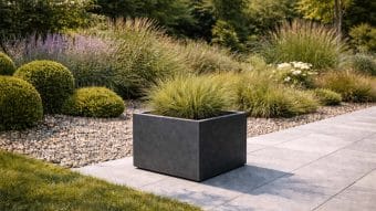 czarna donica z trawą ozdobną