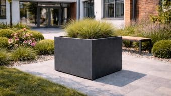 doniczka czarna przed szkołą