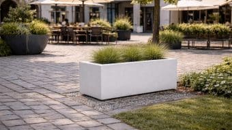 Biała donica w miejskim rynku