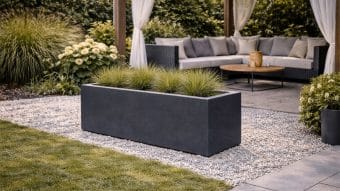 zewnętrzny taras z donica i roślinami