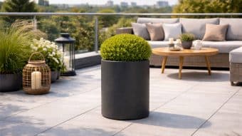 taras z roślinami i donicą