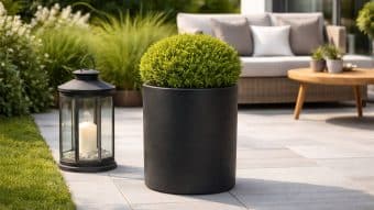 słoneczne patio z czarną donicą