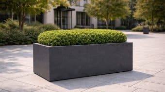 Duża donica Massimo, wypełniona starannie przyciętymi zielonymi krzewami, stoi na wyłożonym płytkami placu zewnętrznym z drzewami i nowoczesnym budynkiem w tle, tworząc czyste i zagospodarowane otoczenie miejskie.