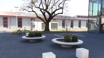 Dwie duże białe donice Duża donica Matteo Ring z małymi krzewami i gołymi gałęziami stoją na szarym chodniku. Rower stoi w pobliżu drzewa przy białym budynku z czerwonymi oknami i drzwiami w tle.