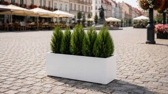 Donica ogrodowa biała Camilio 4 ustawiona na rynku