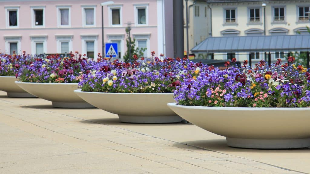 duże donice w kształcie misy na tarasie w centrum