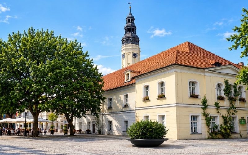 Czarna donica Matteo Ring z cisem na rynku Czarna okrągła donica Matteo Ring z cisem pospolitym na zabytkowym rynku