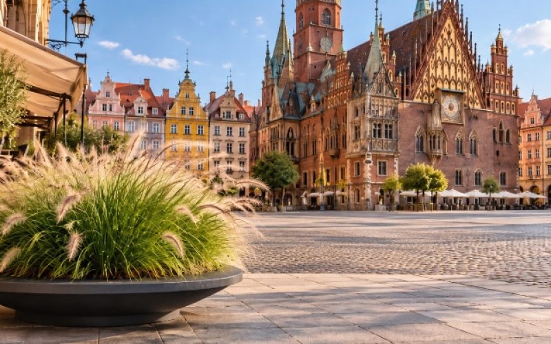 Czarna donica z trawą ozdobną na Rynku we Wrocławiu Duża czarna donica z trawą ozdobną na tle zabytkowego Rynku i Ratusza we Wrocławiu.