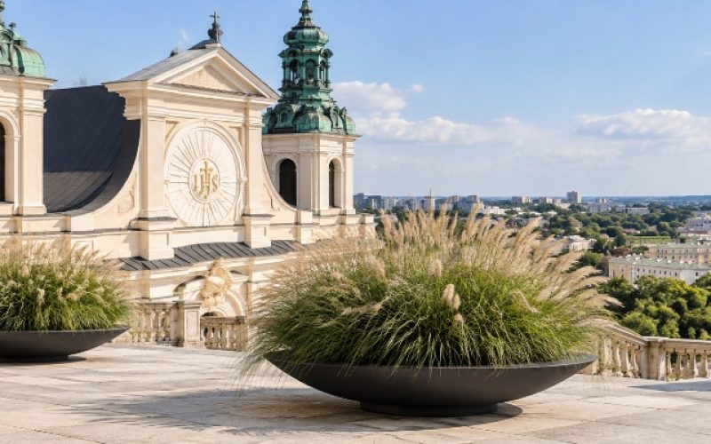 Czarne donice Matteo z trawami ozdobnymi w Lublinie Dwie czarne, niskie donice Matteo z bujnymi trawami ozdobnymi ustawione przy reprezentacyjnej przestrzeni w Lublinie, na tle zabytkowej architektury.