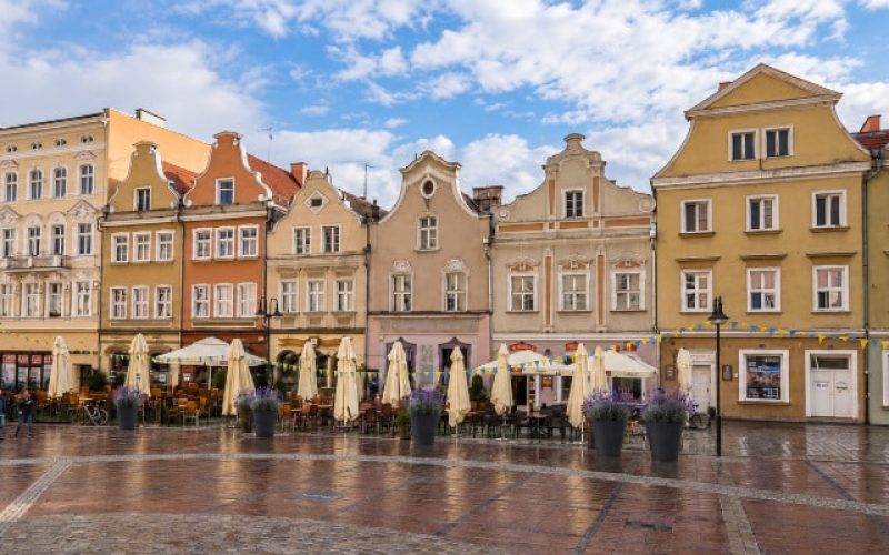 Czarne donice Ricardo z lawendą na rynku w Opolu Czarne donice Ricardo z lawendą na zabytkowym rynku w Opolu