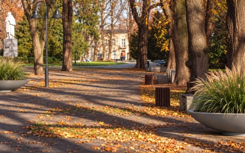 Szare donice Matteo w parku w Częstochowie Dwie szare okrągłe donice Matteo z trawami ozdobnymi w parku w Częstochowie.