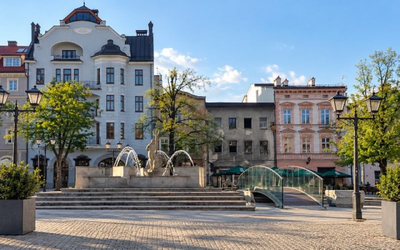 Szare donice miejskie Monica z zielenią na zabytkowym rynku Dwie szare donice Monica z zielonymi roślinami ustawione na zabytkowym rynku miejskim przy fontannie